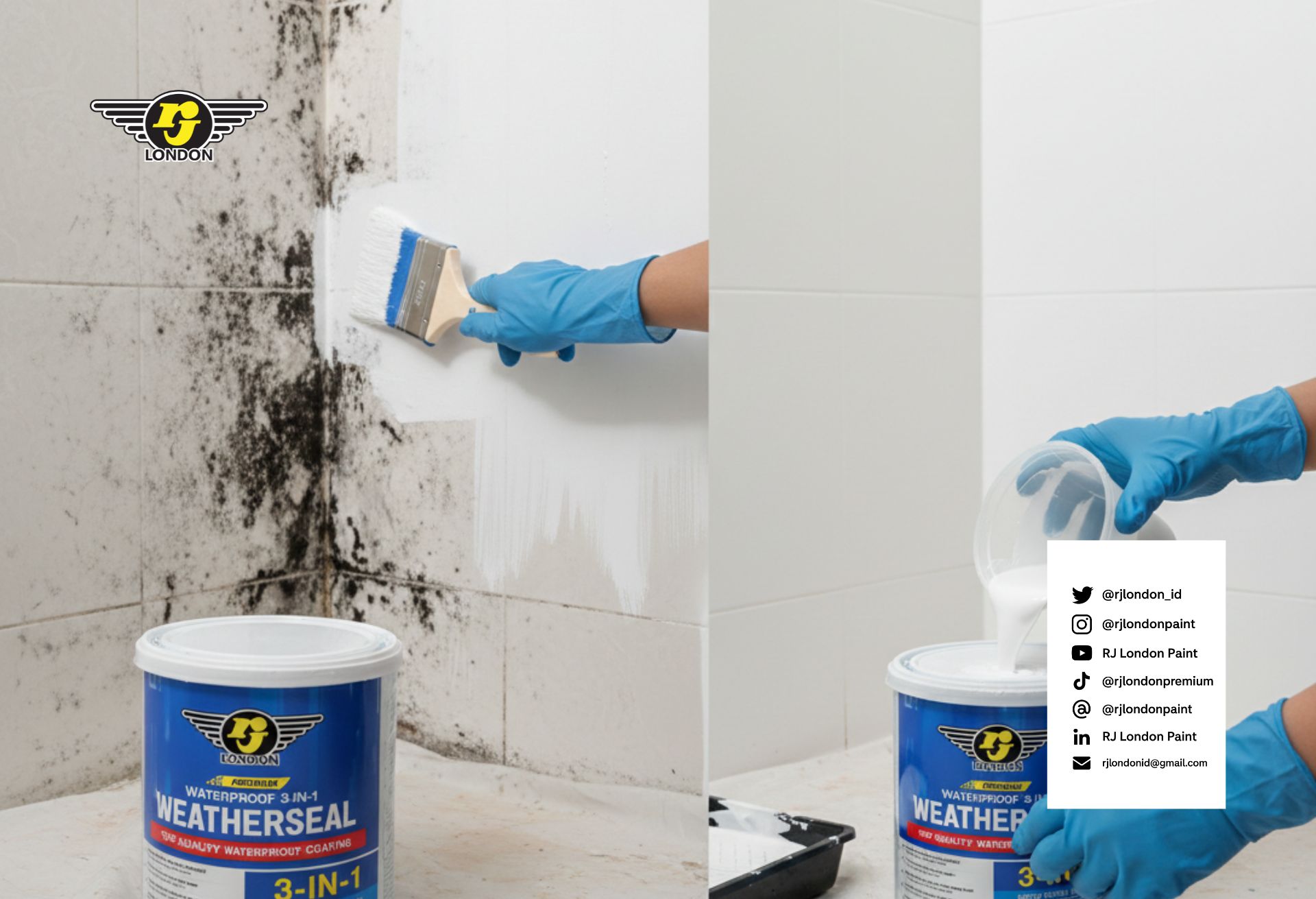 Cara Menghilangkan Jamur di Tembok agar Rumah Lebih Sehat dan Nyaman